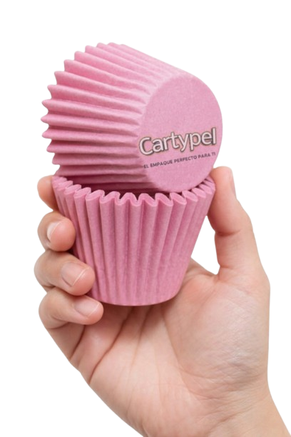 whatsapp image 2026 01 08 at 21.09.17 removebg preview