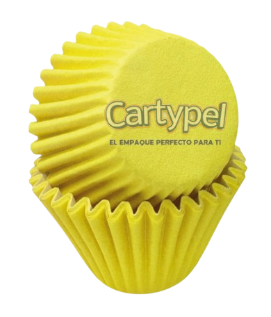 sin fondo nuevo logo